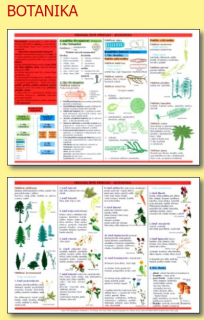 Přehled živé přírody - botanika